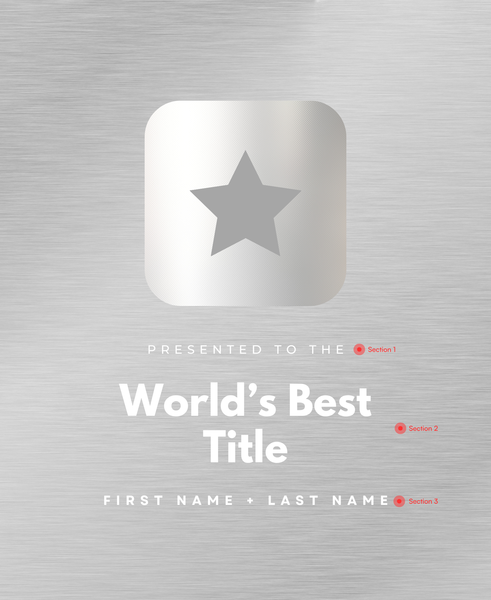 The Award Plaque (9” x 11”)